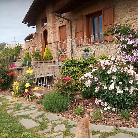 Olivo Bonsai Hotel Passignano sul Trasimeno Buitenkant foto