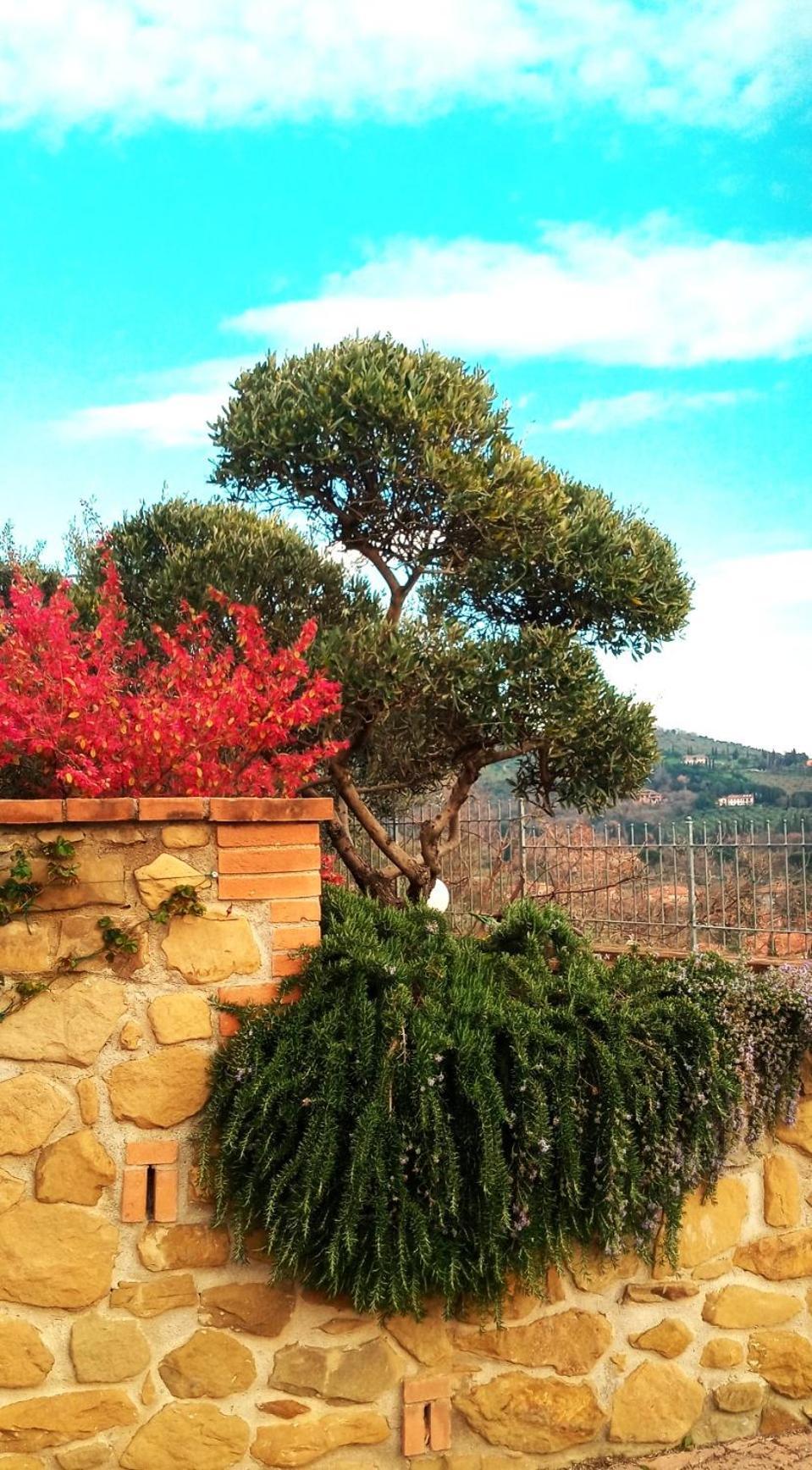 Olivo Bonsai Hotel Passignano sul Trasimeno Buitenkant foto